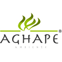 BUSINESS SERVICE CONSULTING - AGHAPE